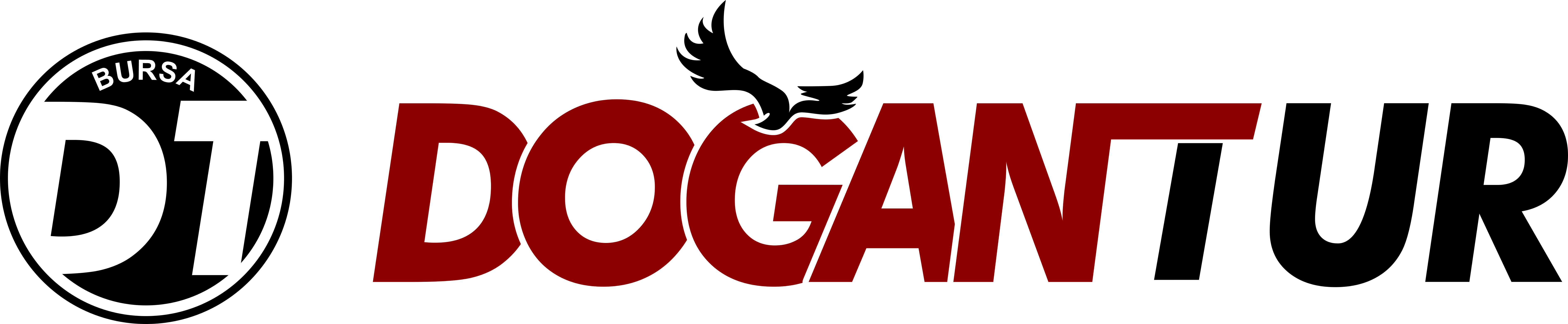 Bursa Doğan Tur Logo